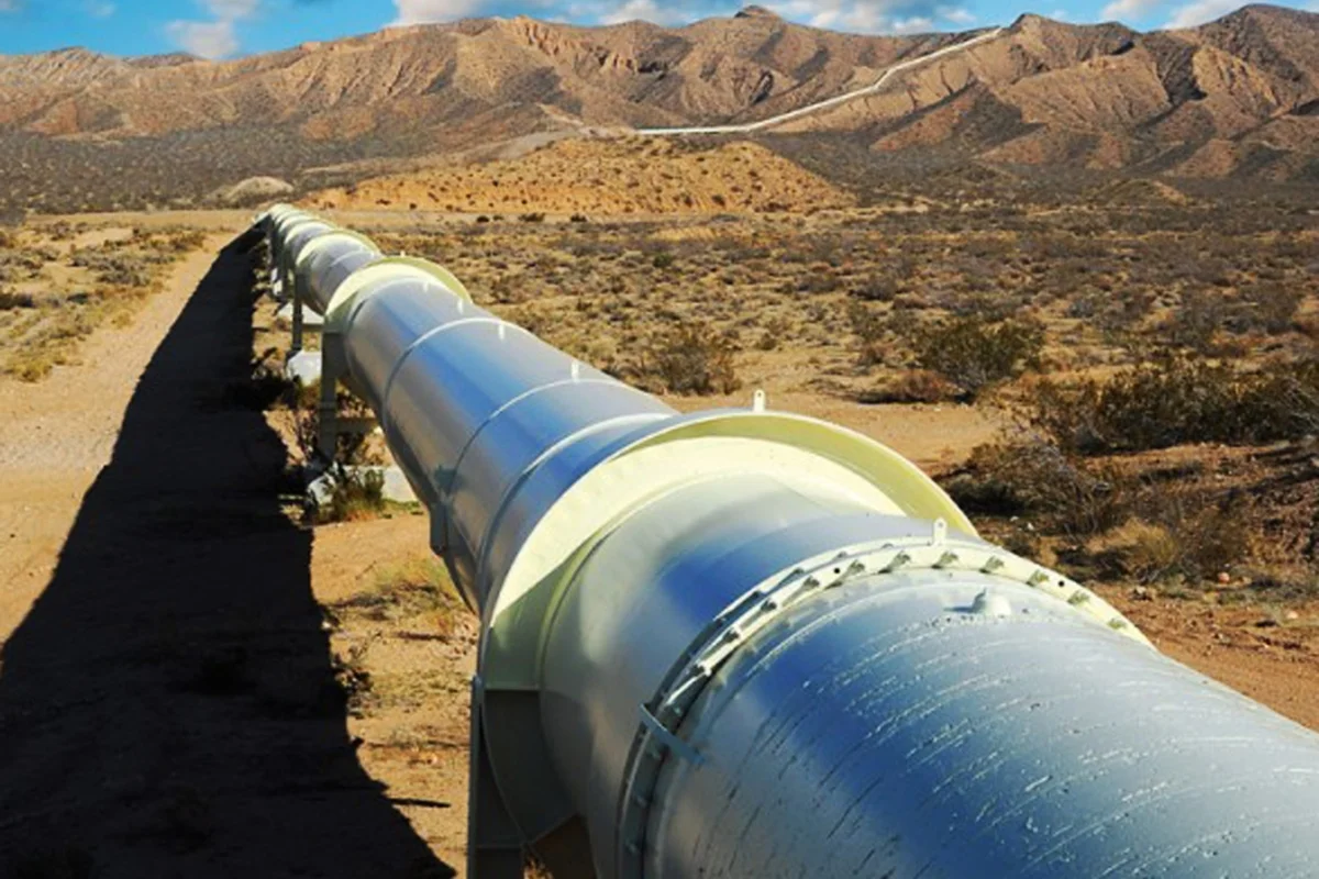 Eric Salomone ENARGAS expansión red gas natural obra pública infraestructura